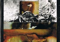 "Wer stiehlt schon Unterschenkel" - Gert Prokop